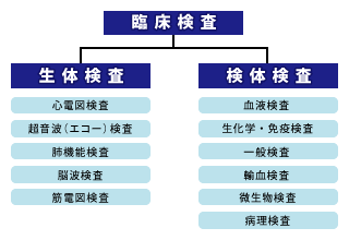 検査部 | 下関市立市民病院