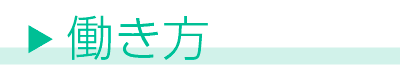医師事務作業者の働き方